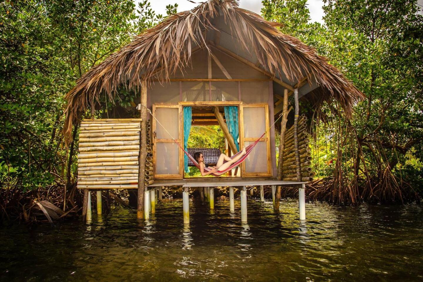 Cocovivo Hotell Bocas del Toro Eksteriør bilde