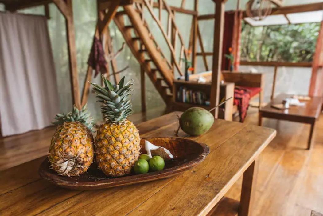 Cocovivo Hotell Bocas del Toro Eksteriør bilde
