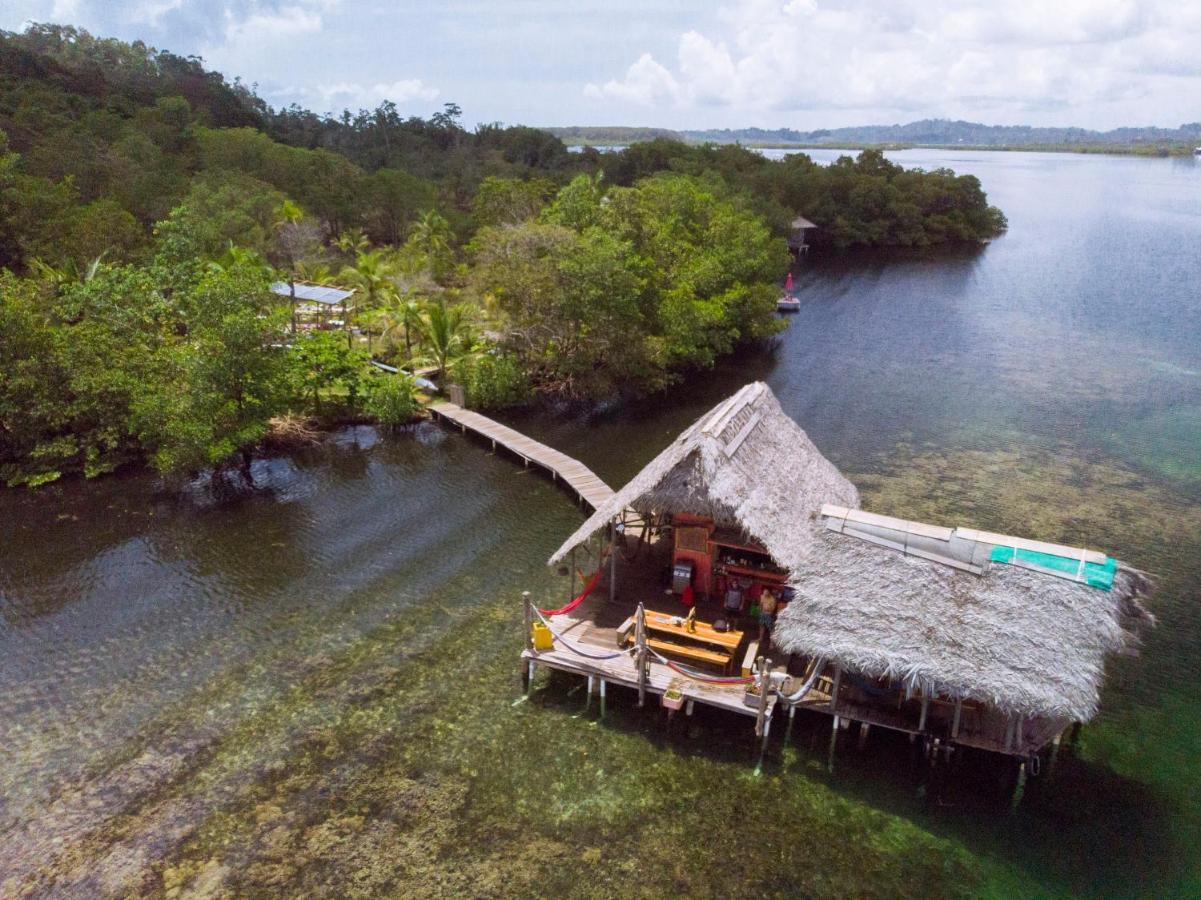 Cocovivo Hotell Bocas del Toro Eksteriør bilde