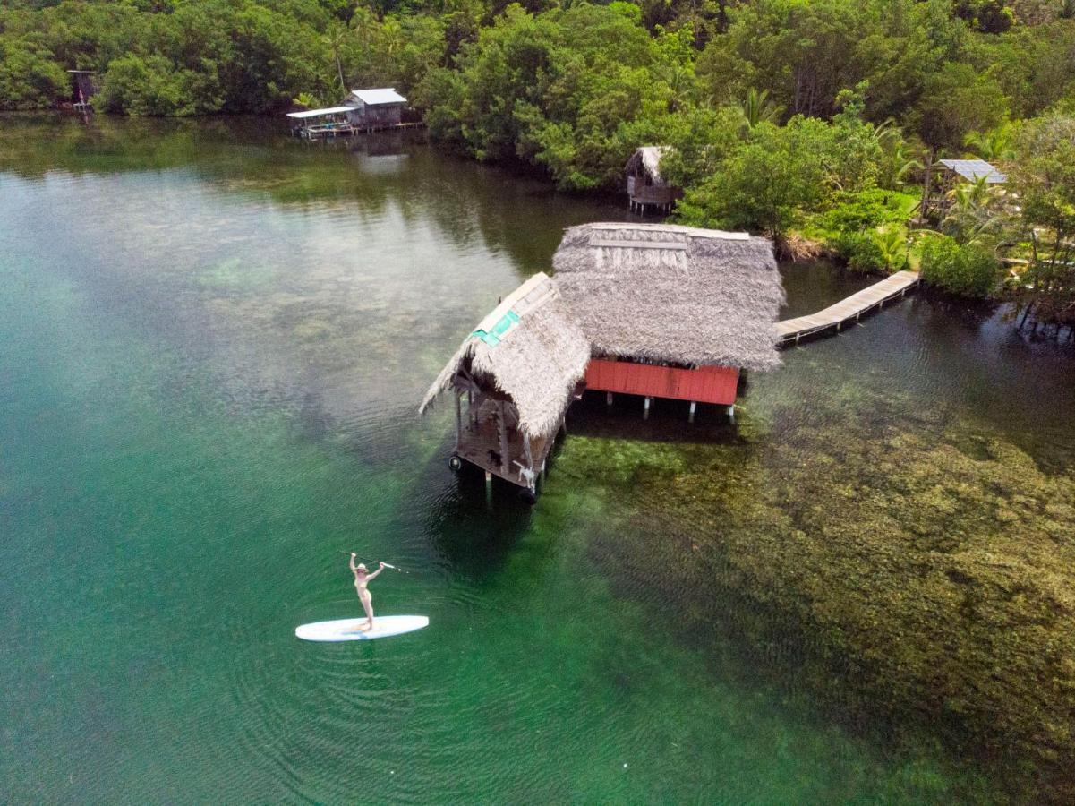 Cocovivo Hotell Bocas del Toro Eksteriør bilde