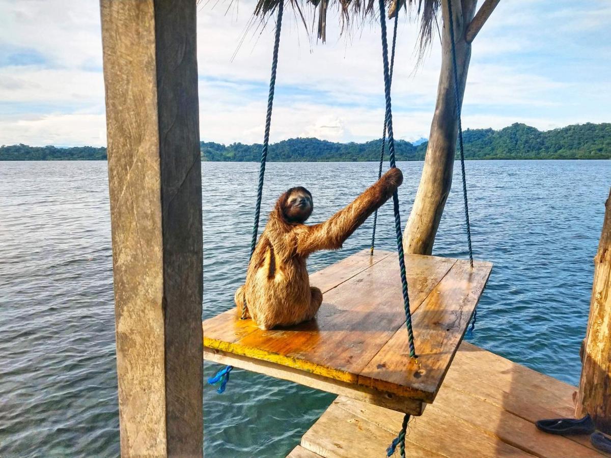 Cocovivo Hotell Bocas del Toro Eksteriør bilde