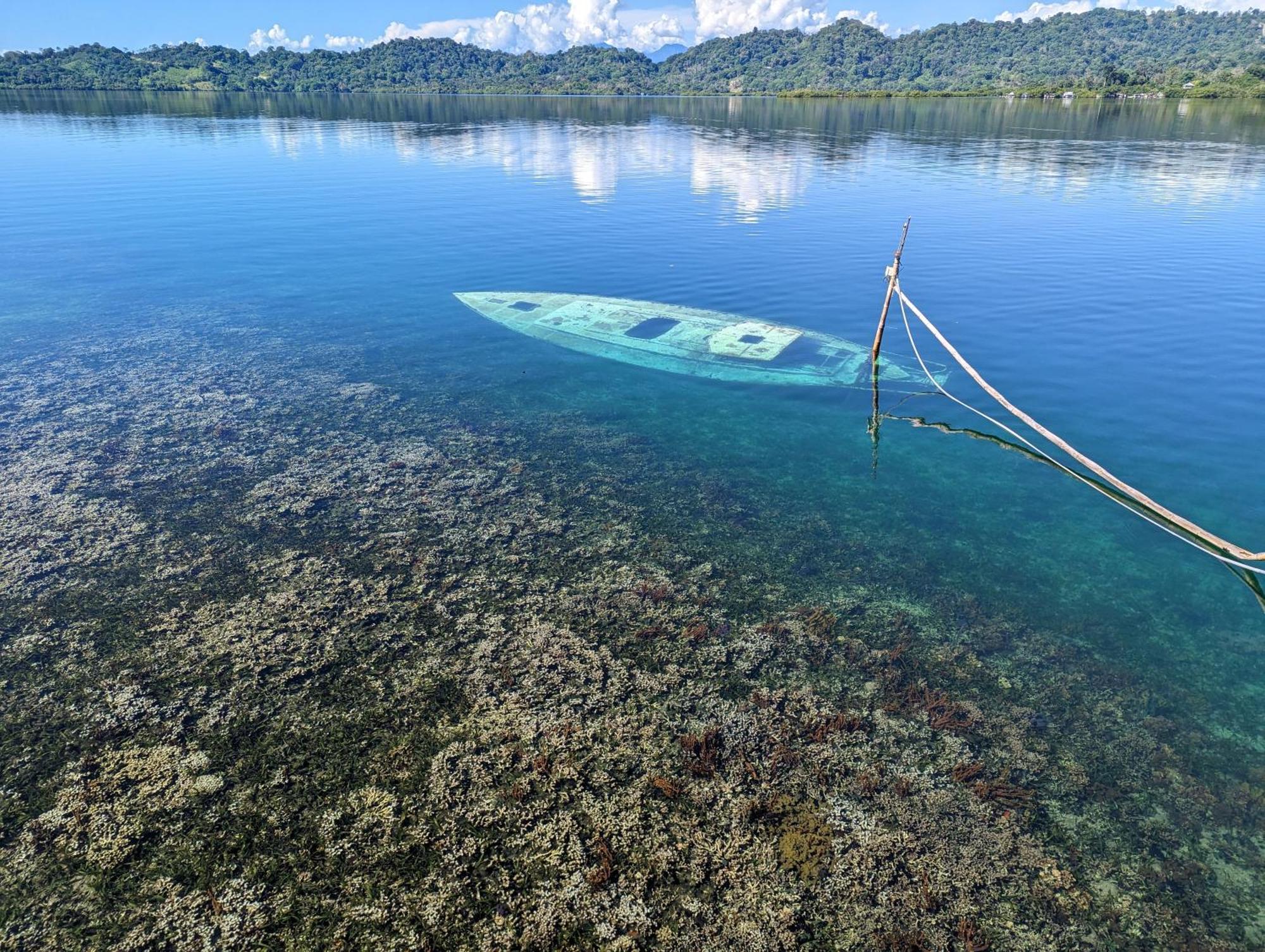 Cocovivo Hotell Bocas del Toro Eksteriør bilde