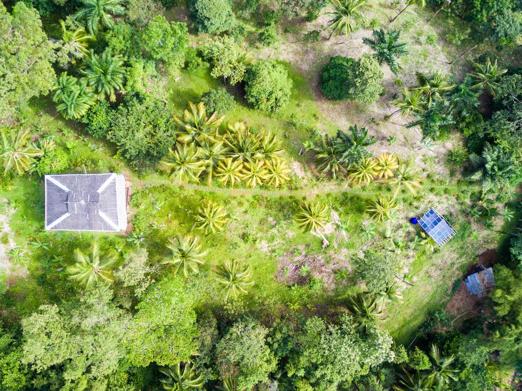 Cocovivo Hotell Bocas del Toro Eksteriør bilde