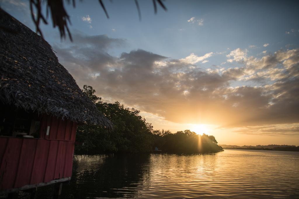Cocovivo Hotell Bocas del Toro Eksteriør bilde