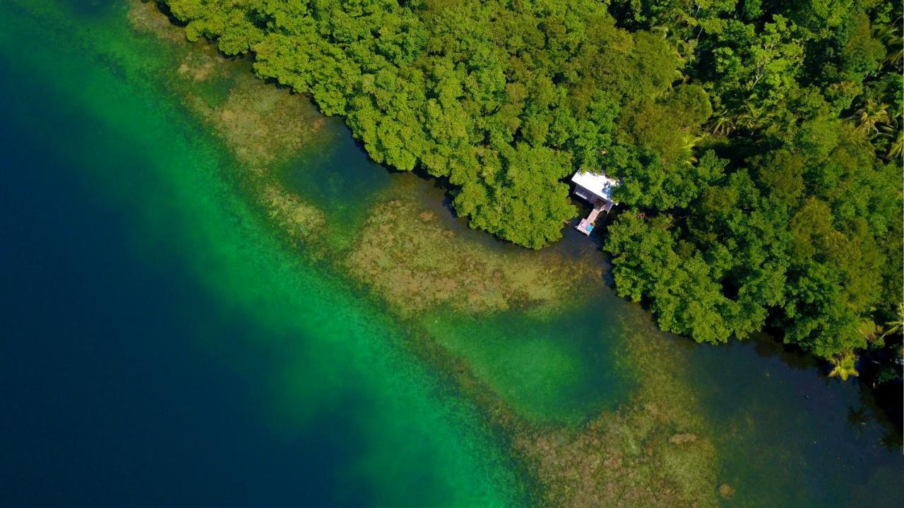 Cocovivo Hotell Bocas del Toro Eksteriør bilde