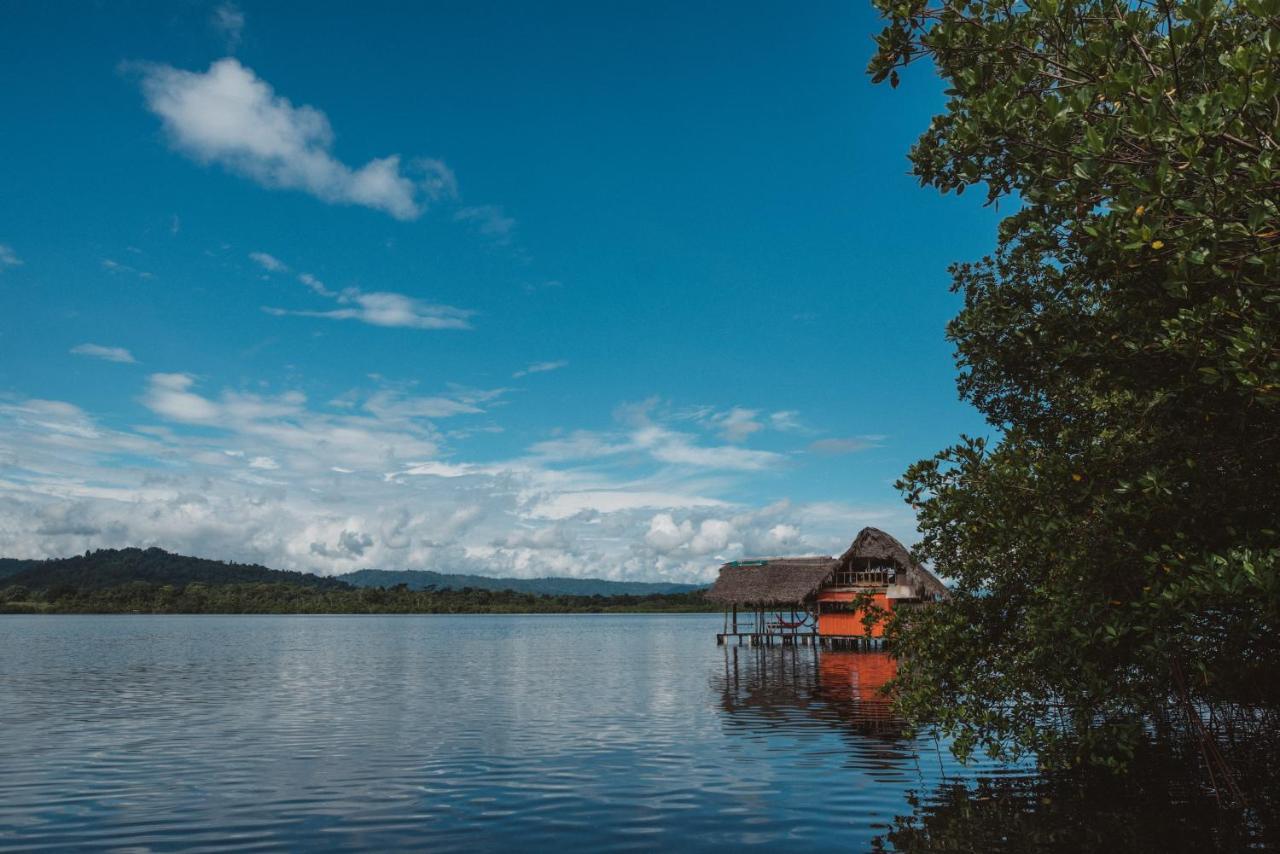 Cocovivo Hotell Bocas del Toro Eksteriør bilde